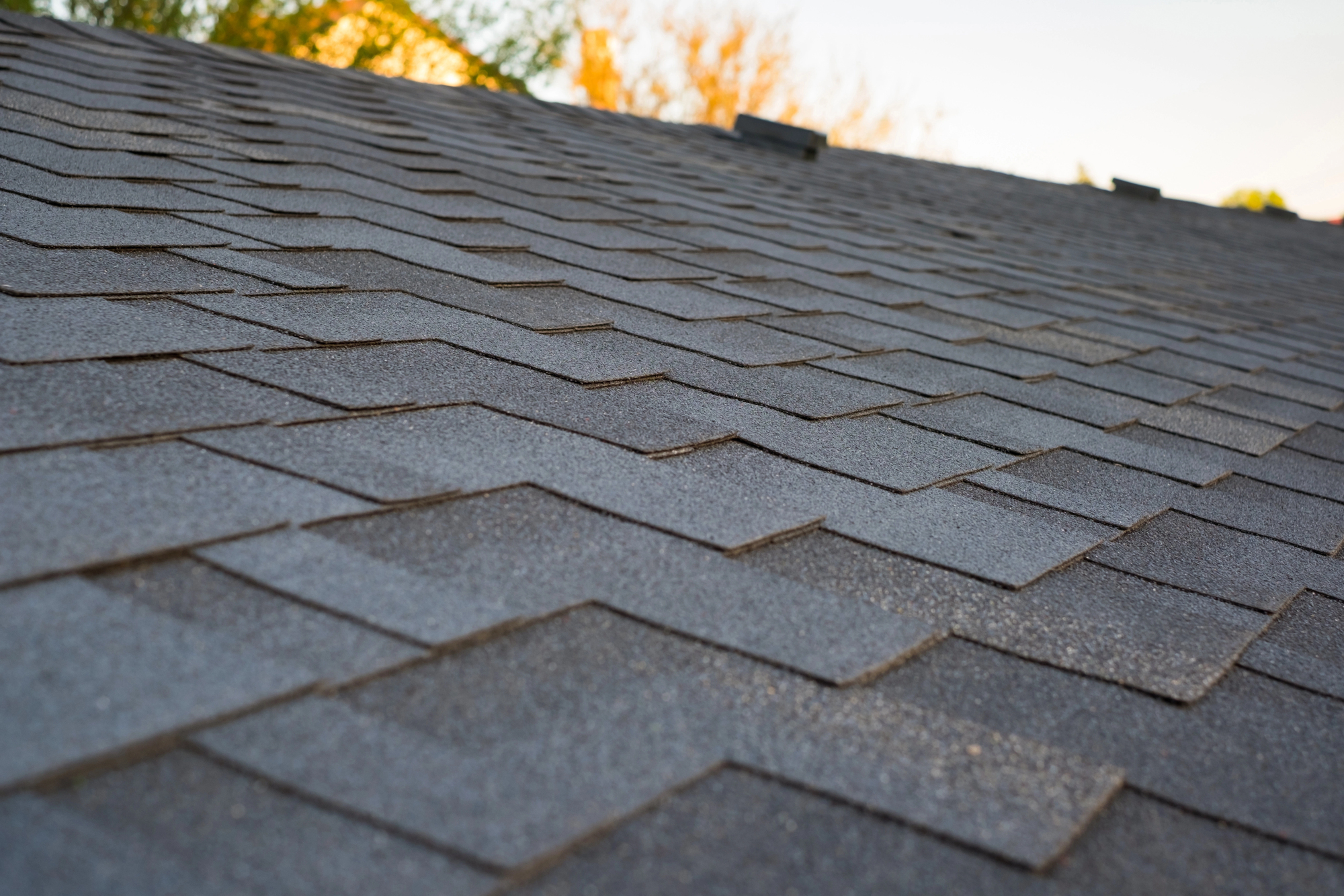 Close-up view of dark gray asphalt roof shingles with overlapping pattern, taken at an angle. Trees and sky are visible in the background.